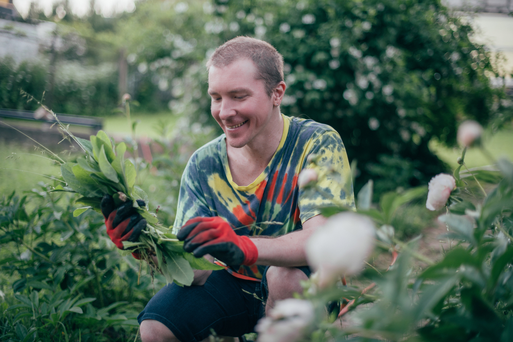 Utilités et propriétés des mauvaises herbes