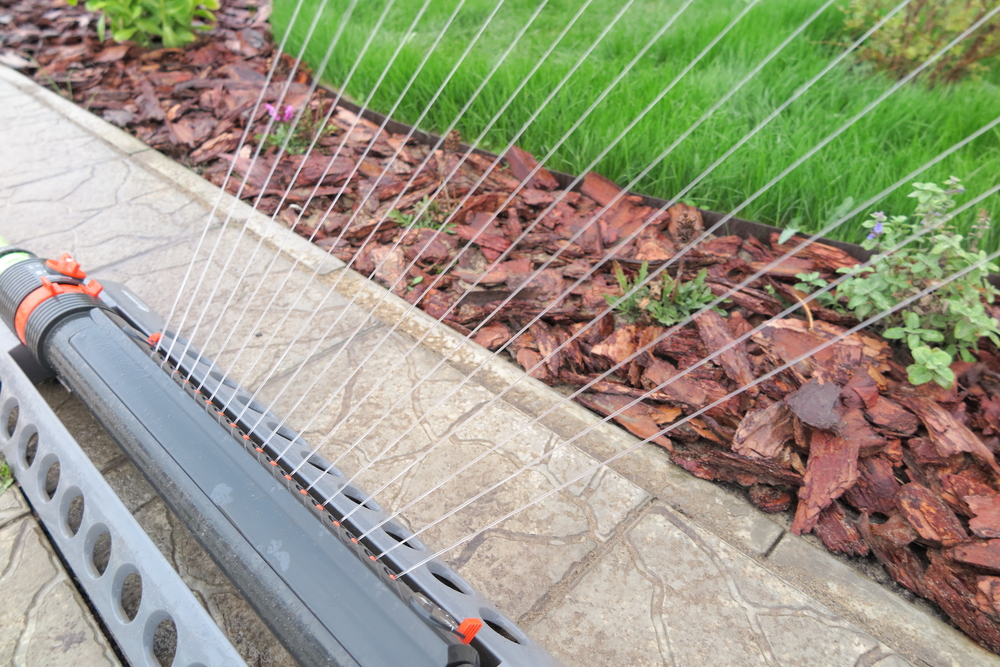 arrosage automatique